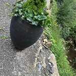 Wellness Queen Appartement Harze