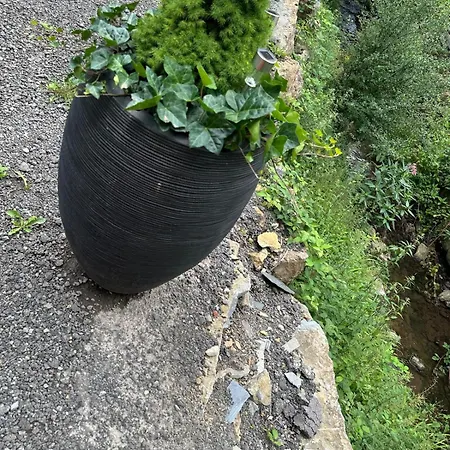 Wellness Queen 아파트 하르제